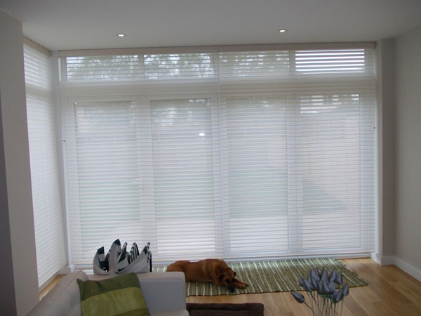 Silhouette Shades lowered for Privacy with a view