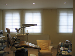 unlined roman shade blinds West End